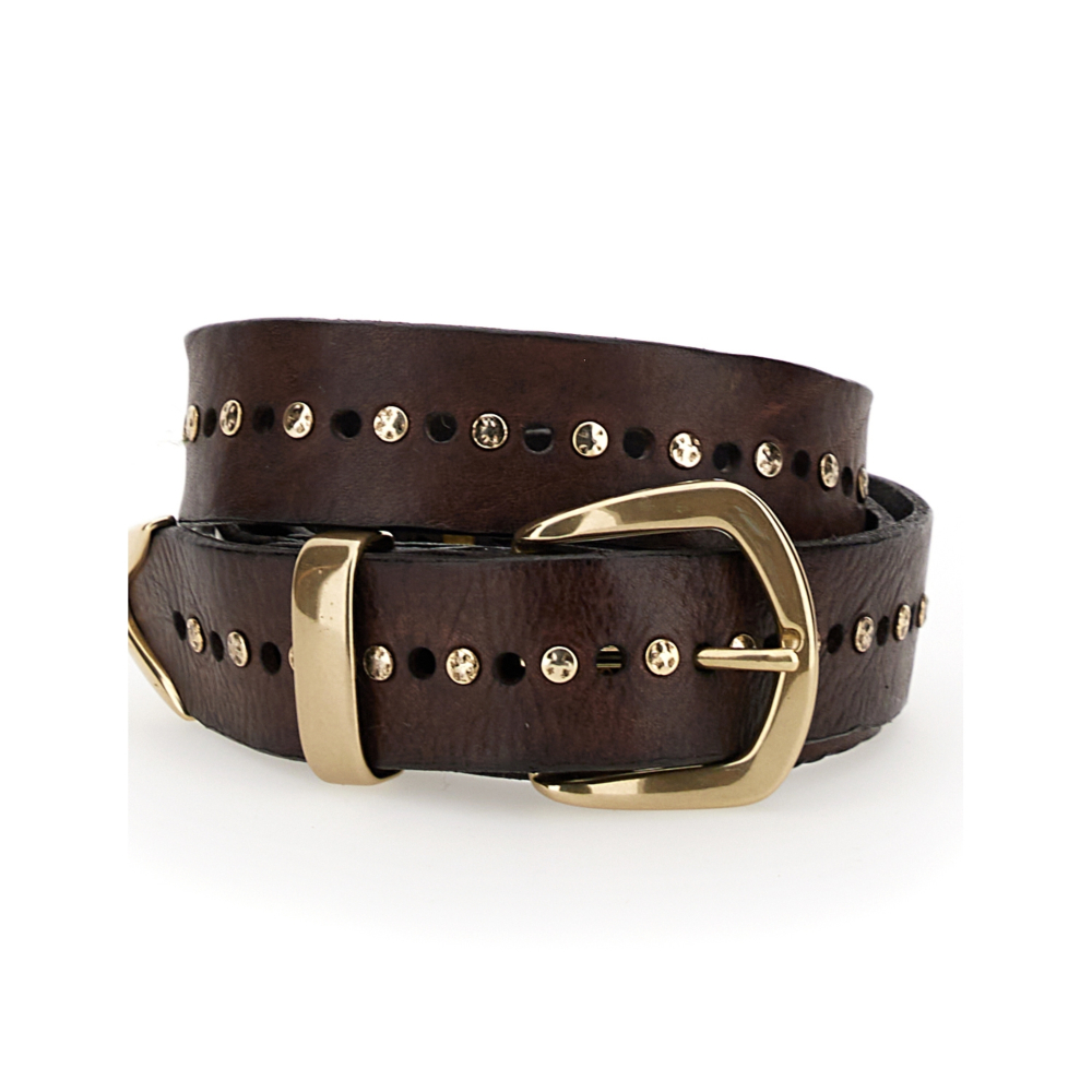 Classic Belt Dan Brown - image 5